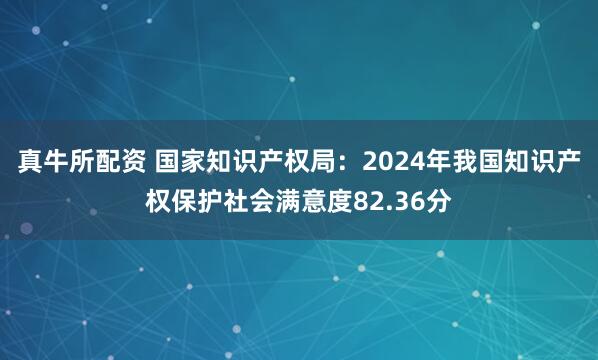 真牛所配资 国家知识产权局：2024年我国知识产权保护社会满意度82.36分