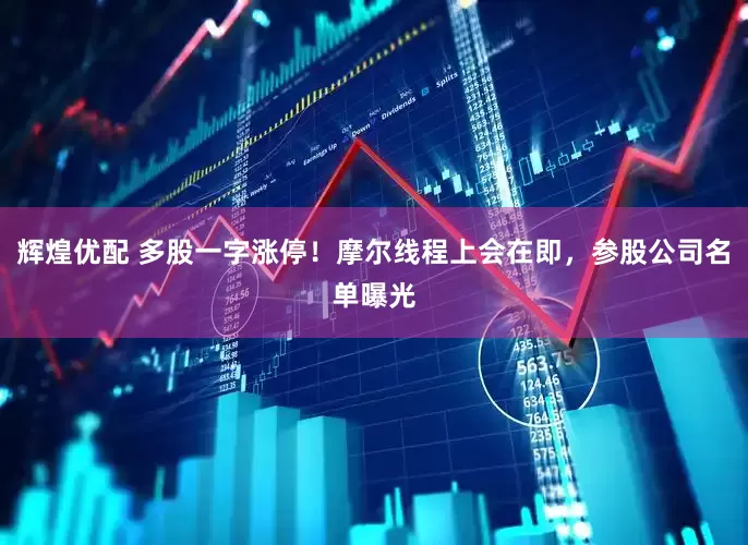 辉煌优配 多股一字涨停！摩尔线程上会在即，参股公司名单曝光