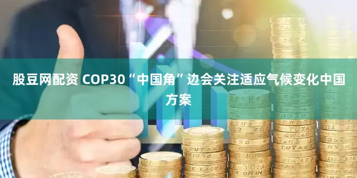 股豆网配资 COP30“中国角”边会关注适应气候变化中国方案